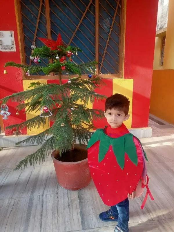 A sweet little strawberry
