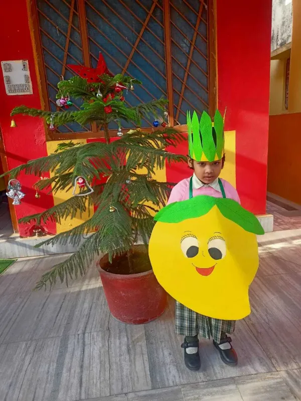 The king of fruits, the mango